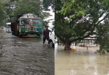 यूपी, असम और बिहार में बाढ़ ने मचाया कोहराम , अब तक 50 की मौत