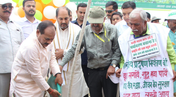 वन मंत्री ने किया वन महोत्सव व वृक्षारोपण योग का शुभारम्भ