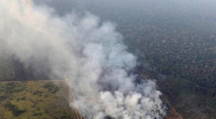 ब्राजील ने जी-7 देशों से 157 करोड़ रु की मदद लेने से किया मना