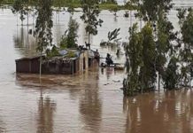 पाकिस्तान ने पानी छोड़ा, पंजाब के फिरोजपुर में बढ़ गया बाढ़ का खतरा