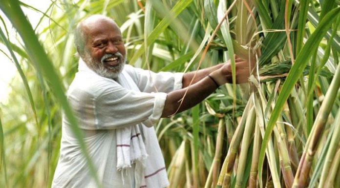 गन्ना किसानों को मिली बड़ी सौगात ,सरकार गोदामों में रखी शक्कर बेचकर भुगतान करेगी