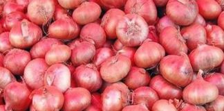 अब प्याज का तड़का पड़ेगा महंगा , 60 रुपये किलो पहुंचे दाम