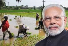 PM मोदी ने किसानों के लिए मानधन योजना और छोटे कारोबारियों के लिए राष्ट्रीय पेंशन योजना की दी सौगात