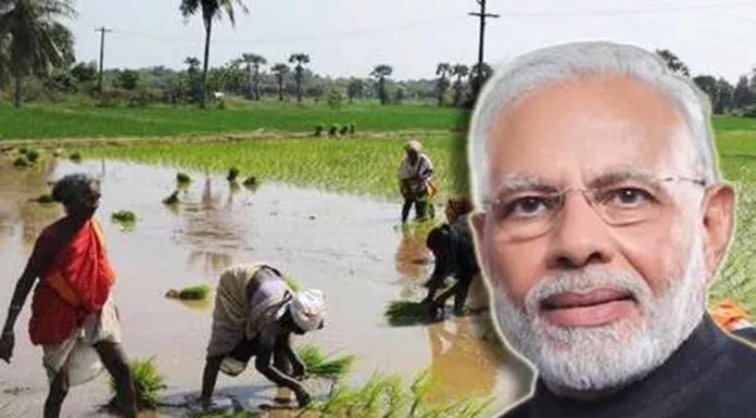PM मोदी ने किसानों के लिए मानधन योजना और छोटे कारोबारियों के लिए राष्ट्रीय पेंशन योजना की दी सौगात