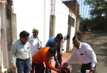 स्वास्थ्य विभाग की टीम ने की निजी अस्पतालों में छापेमारी, तीन में मिले डेंगू का लार्वा