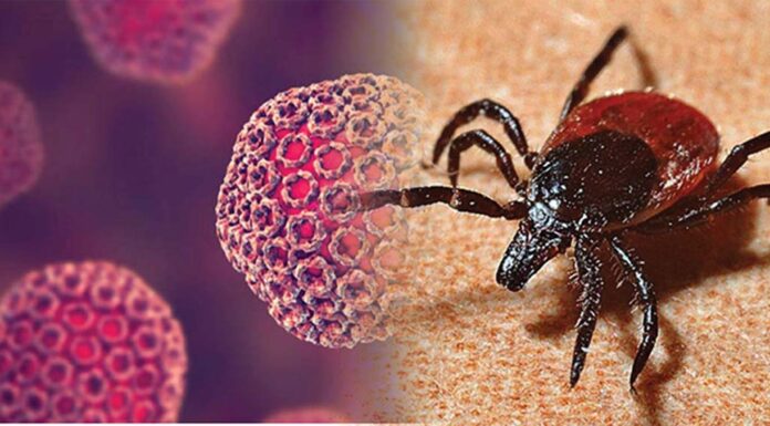 चीन में अब बुन्या Virus से 7 की मौत