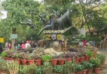 कानपुर तथा लखनऊ चिड़ियाघर पर बर्ड फ्लू का कहर