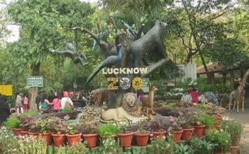 कानपुर तथा लखनऊ चिड़ियाघर पर बर्ड फ्लू का कहर