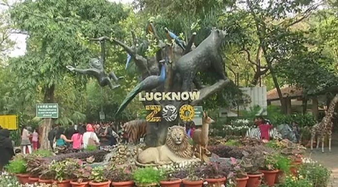 कानपुर तथा लखनऊ चिड़ियाघर पर बर्ड फ्लू का कहर