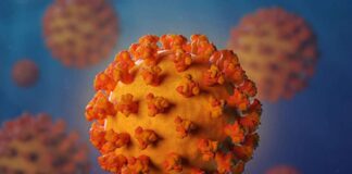 पुर्तगाल के राष्ट्रपति मार्सेलो रेबेलो डी सूसा को हुआ Corona