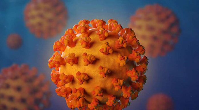 पुर्तगाल के राष्ट्रपति मार्सेलो रेबेलो डी सूसा को हुआ Corona