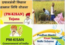 मोदी की स्कीम PM किसान सम्मान योजना में गड़बड़ी आई सामने