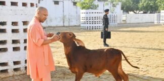 74 करोड़ रुपये से प्रदेश के गौ पालकों को स्वावलंबी बनाएगी योगी सरकार