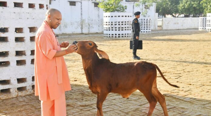 74 करोड़ रुपये से प्रदेश के गौ पालकों को स्वावलंबी बनाएगी योगी सरकार